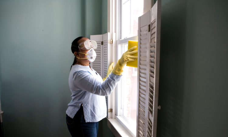 The Ultimate Guide to House Cleaning in Santa Monica: Tips for a Spotless Home
